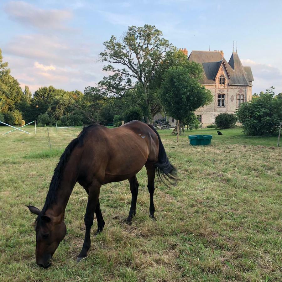 Manoir De La Chouanniere Villa Montreuil-sur-Maine Dış mekan fotoğraf